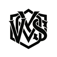 Vibespeaks