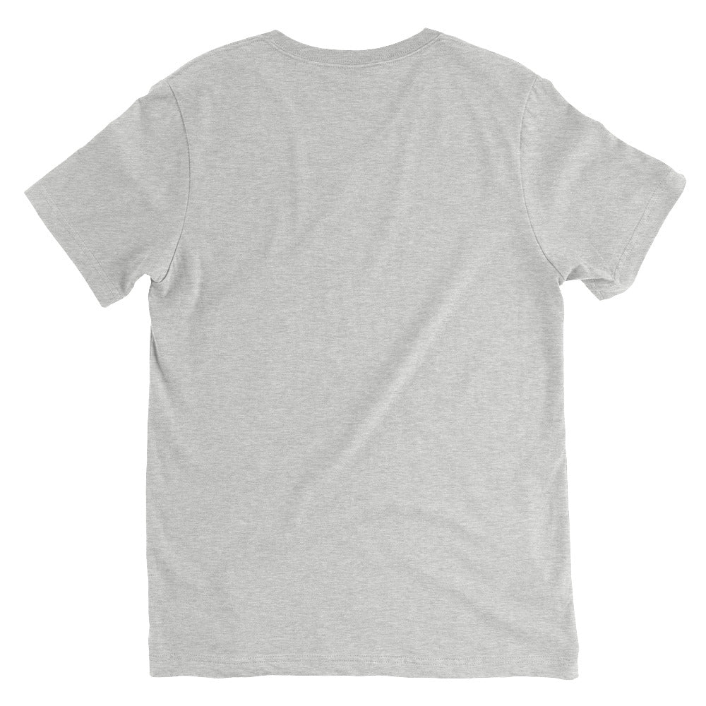 Plain back view of t-shirt on a white background